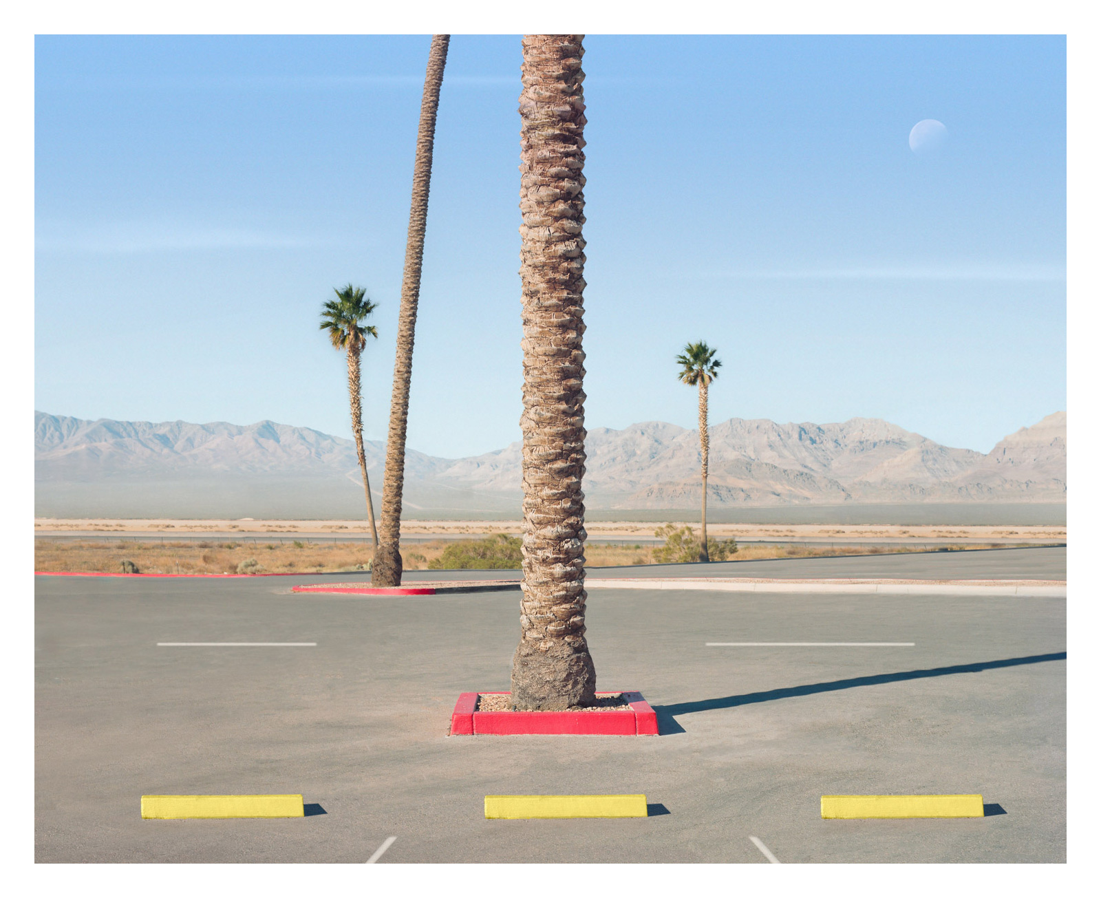 Casino Nevada, 2024 — George Byrne