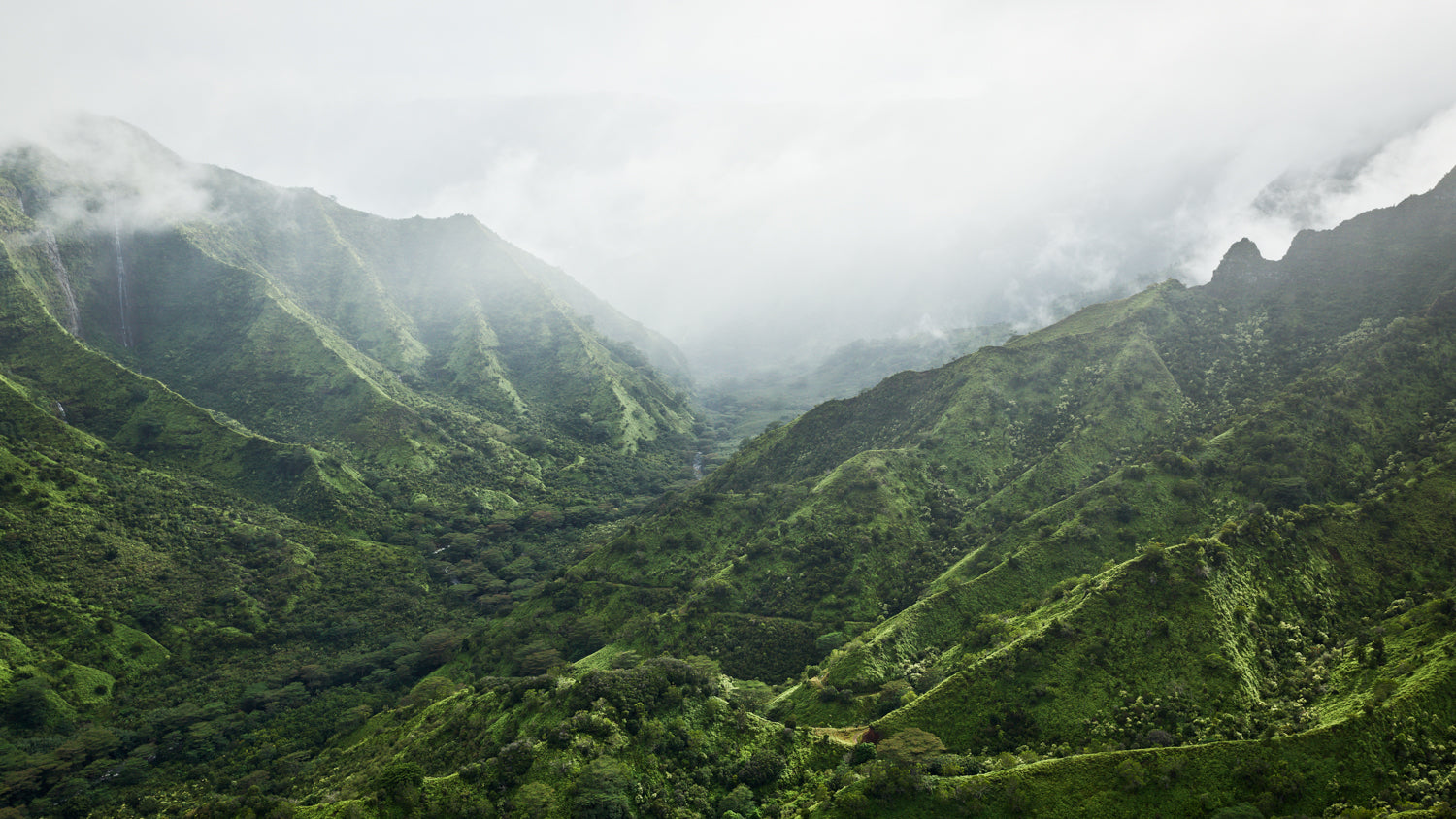 In Another World - Kauai — Jinwoo Prensena