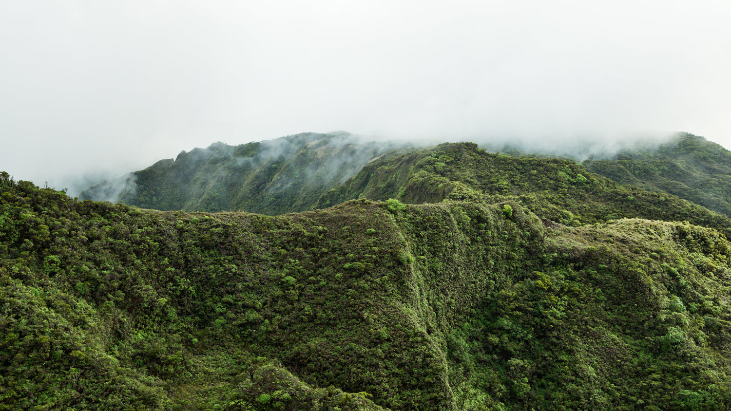 Lost In Time - Kauai — Jinwoo Prensena