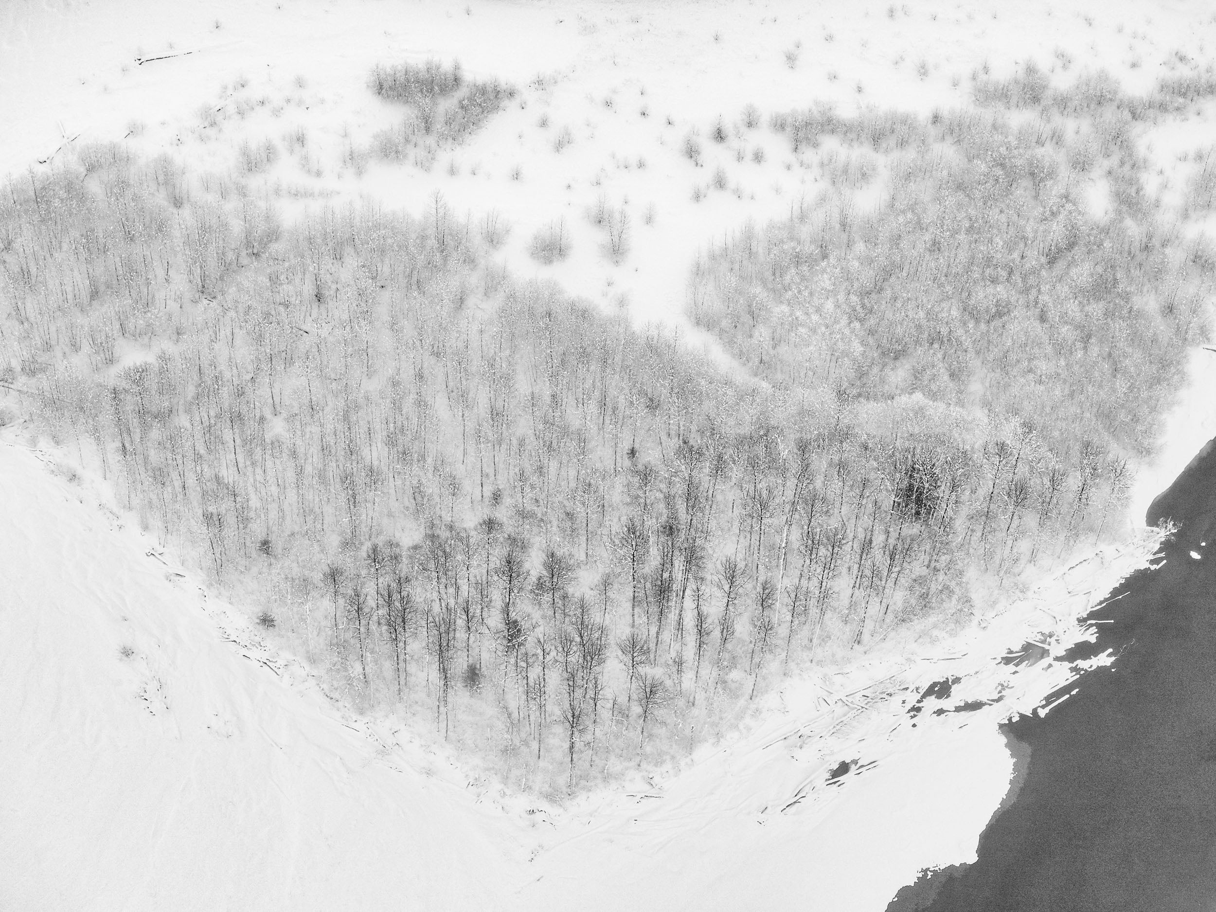 The Heart - British Columbia — Jinwoo Prensena
