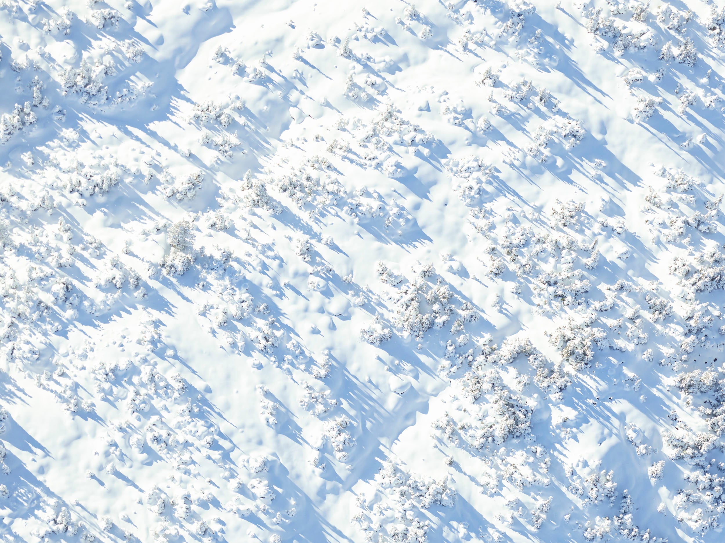 Winter Wonderland - British Columbia — Jinwoo Prensena